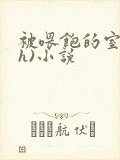 被喂饱的室友(h)小说