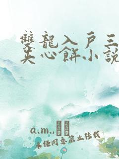 双龙入户三人行夹心饼小说