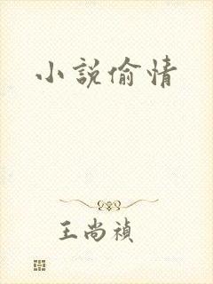 小说偷情