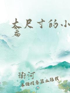 大尺寸的小说短篇