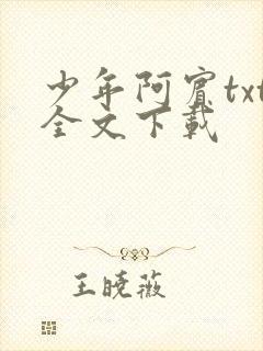 少年阿宾txt全文下载