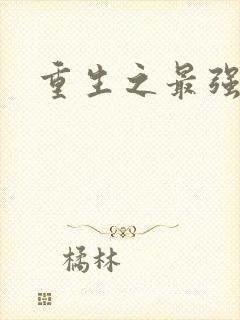 重生之最强大师