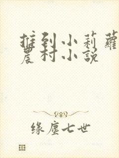 推到小莉萝稚嫩农村小说