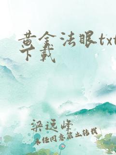 黄金法眼txt下载