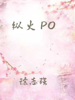 纵火 PO