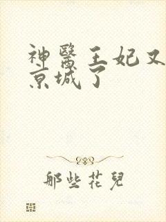 神医王妃又轰动京城了