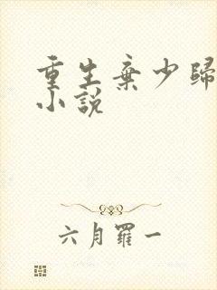 重生弃少归来 小说