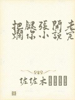 把腿张开老子臊烂你小说完