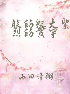 朕的粗大紫红猛烈的贯穿