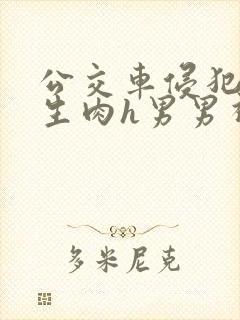 公交车侵犯小男生肉h男男视频