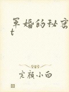 军婚的秘密txt