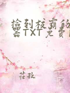 捡到校霸的遥控器TXT免费阅读