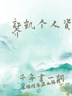 许凯个人资料简介