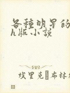 各种明星的综艺h版小说