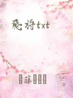 飞将txt