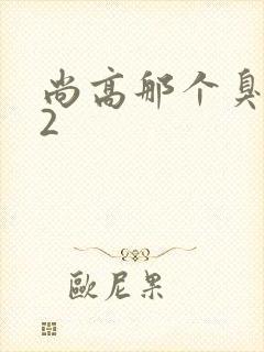 尚高那个臭小子2