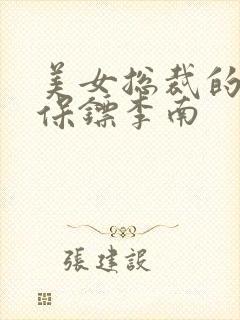 美女总裁的护花保镖李南