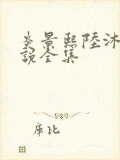 炎景熙陆沐擎小说全集