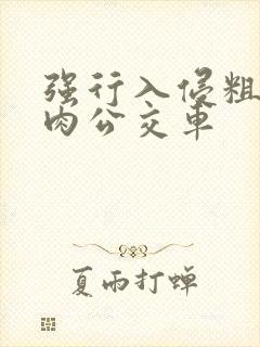 强行入侵粗暴h肉公交车