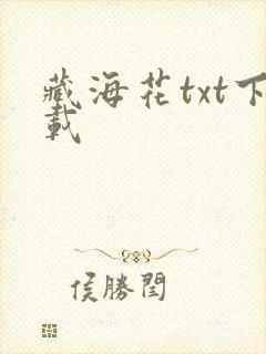藏海花txt下载