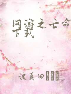 网游之亡命天涯下载