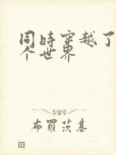 同时穿越了99个世界