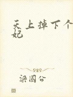 天上掉下个奇王妃