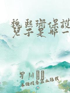 魏熙珊保护萧峥儿子是哪一集