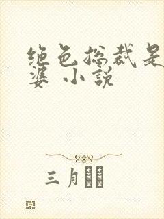 绝色总裁是我老婆 小说