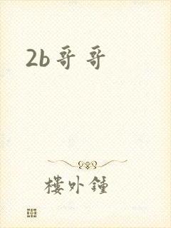 2b哥哥