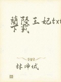兰陵王妃txt下载