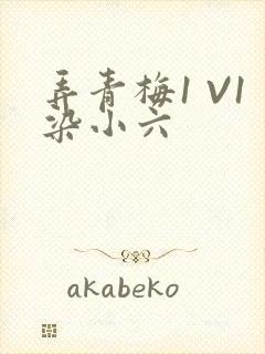 弄青梅1 V1染小六