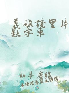 义姐镜里片微博数字车