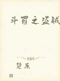 斗罗之盗贼