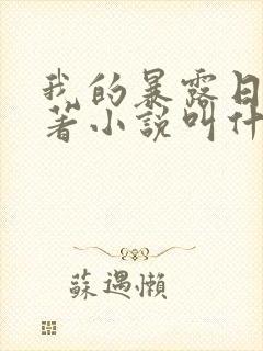 我的暴露日记原著小说叫什么