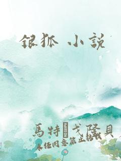 银狐 小说