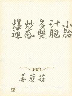 爆炒多汁小美人通感双胞胎燎锋