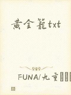 黄金笼txt