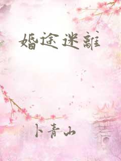 婚途迷离