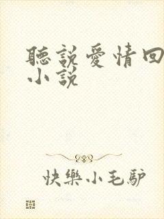 听说爱情回来过小说