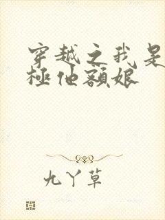 穿越之我是皇太极他额娘