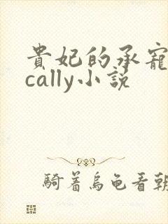 贵妃的承宠日常cally小说