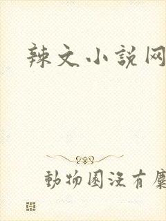 辣文小说网