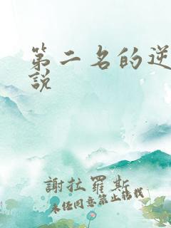 第二名的逆袭小说