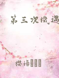第三次机遇