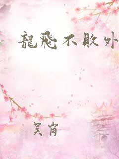 龙飞不败外传