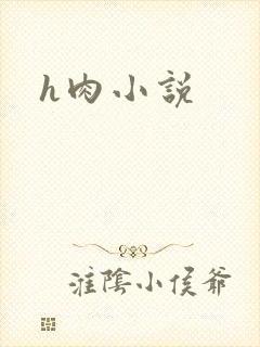 h肉小说