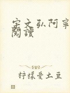 宇文弘阿宁全文阅读