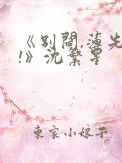 《别闹,薄先生!》沈繁星