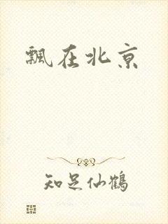 飘在北京
